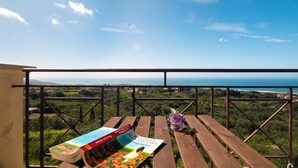 Una terraza de madera con vistas a un paisaje costero, un libro y un recipiente morado.