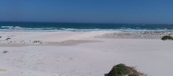 210 Degrees South - Paradise in Sunny Seas