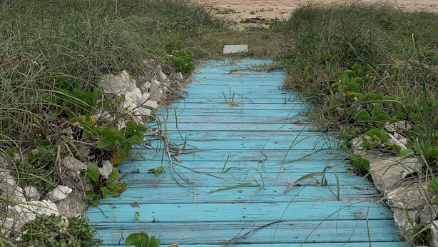 Strand