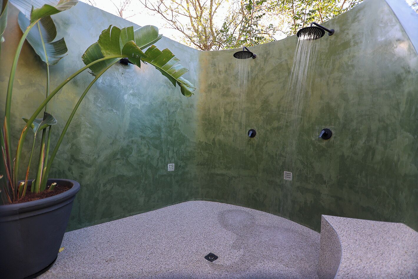 Zona de ducha con suelo de hormigón, una planta en maceta y un cabezal de ducha empotrado en la pared.