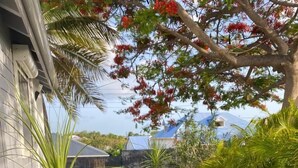 A garden with a water feature, a palm plant, and a tree with red flowers. - Villa close to all amenities and beach (Saint-François)