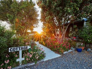 Cottage | Garden view - Barnacle Bills (Kaikoura)