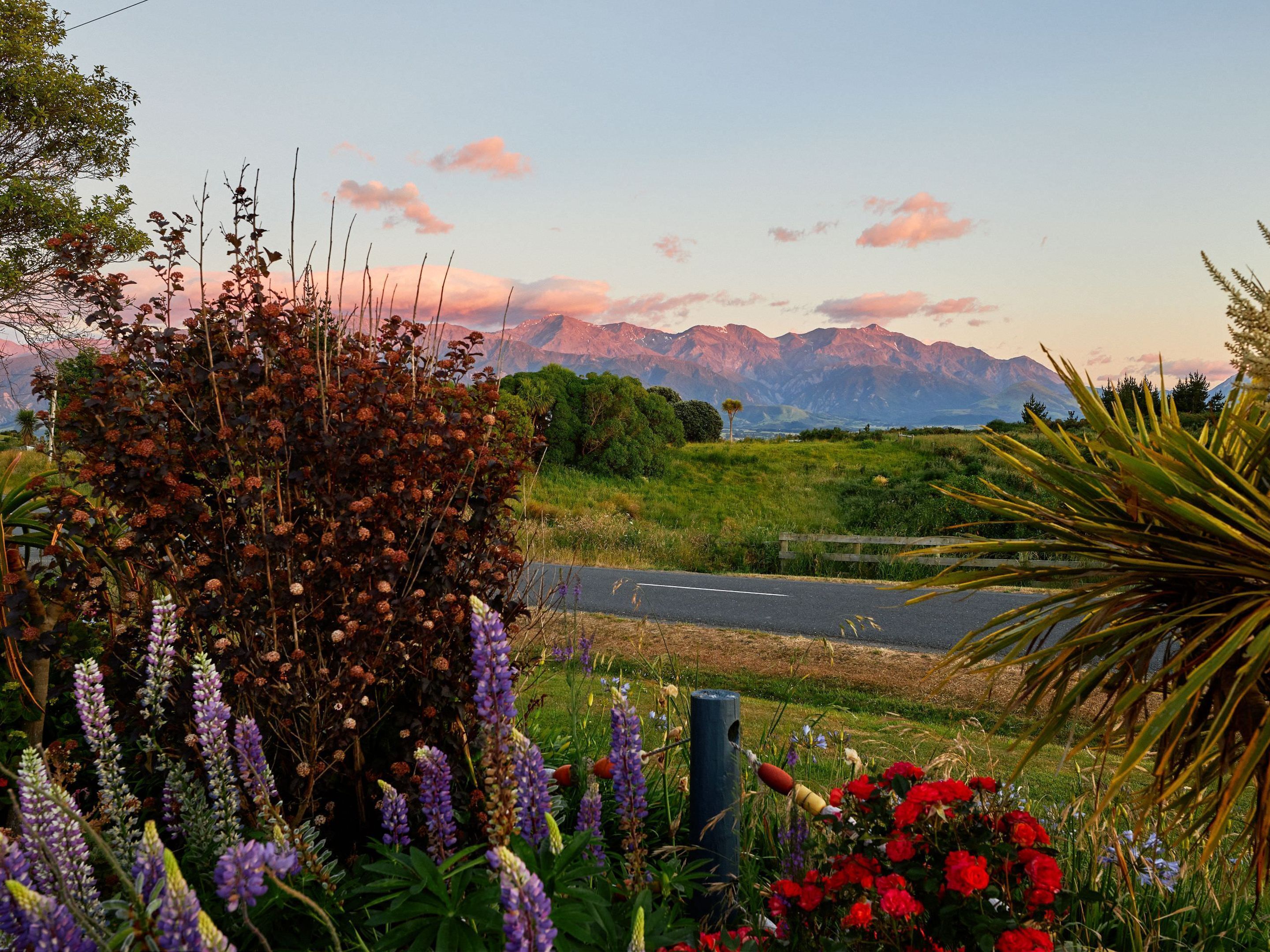 A scenic landscape with mountains in the background, a road, and various flowering plants in the foreground.