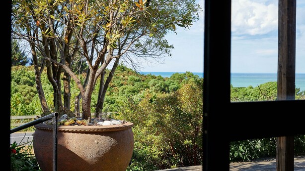 A potted tree with a view of a coastal landscape through a window. - Barnacle Bills (Kaikoura)
