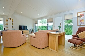 تلفزيون ذكي