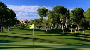 Ein Golfplatz mit Fahne, Bäumen und blauem Himmel.