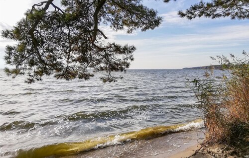 ReetdachhausSchilf-Idyll