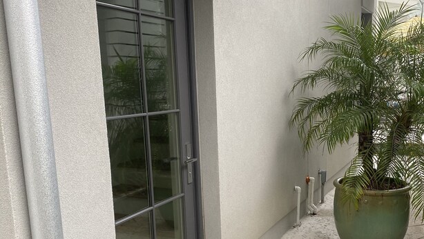 A modern building exterior with a grey door, a large potted plant, and a concrete pathway. - Ion spacious above garage apartment in quiet neighborhood. High ceilings! (Mt Pleasant)
