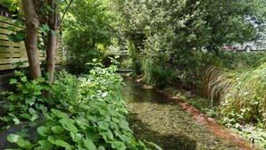 Un étroit canal bordé de chaque côté d’une végétation luxuriante, une clôture en bois et un petit pont.