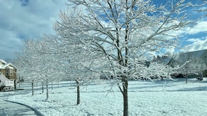 A snow-covered residential area with houses and trees.