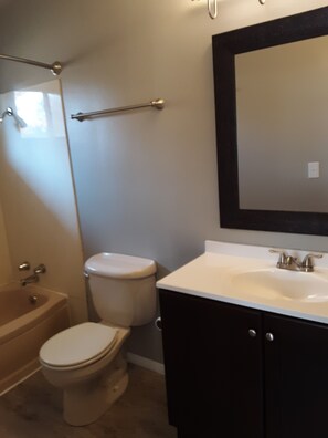Combined shower/bathtub, hair dryer, towels, soap