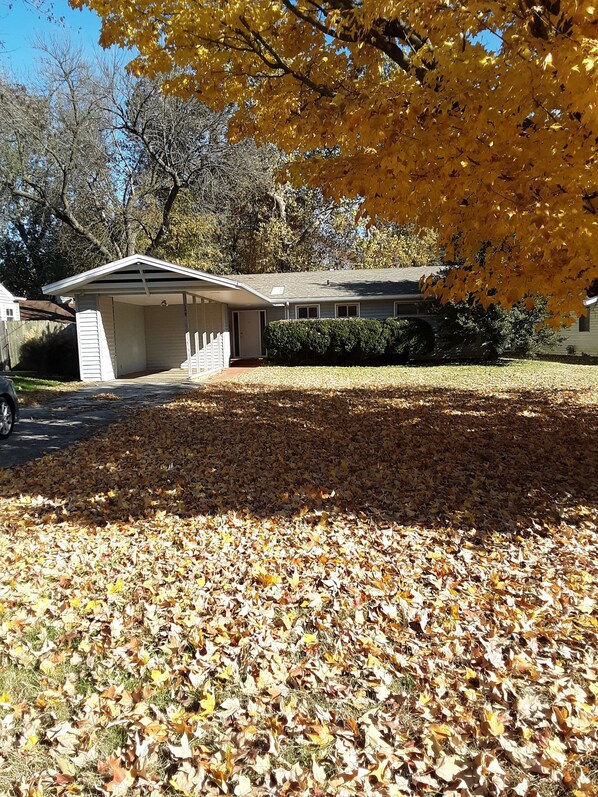 Exterior - Come Spread Out at Yellow Maple on Kings (Springfield)