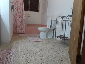 Combined shower/bathtub, free toiletries, hair dryer, towels