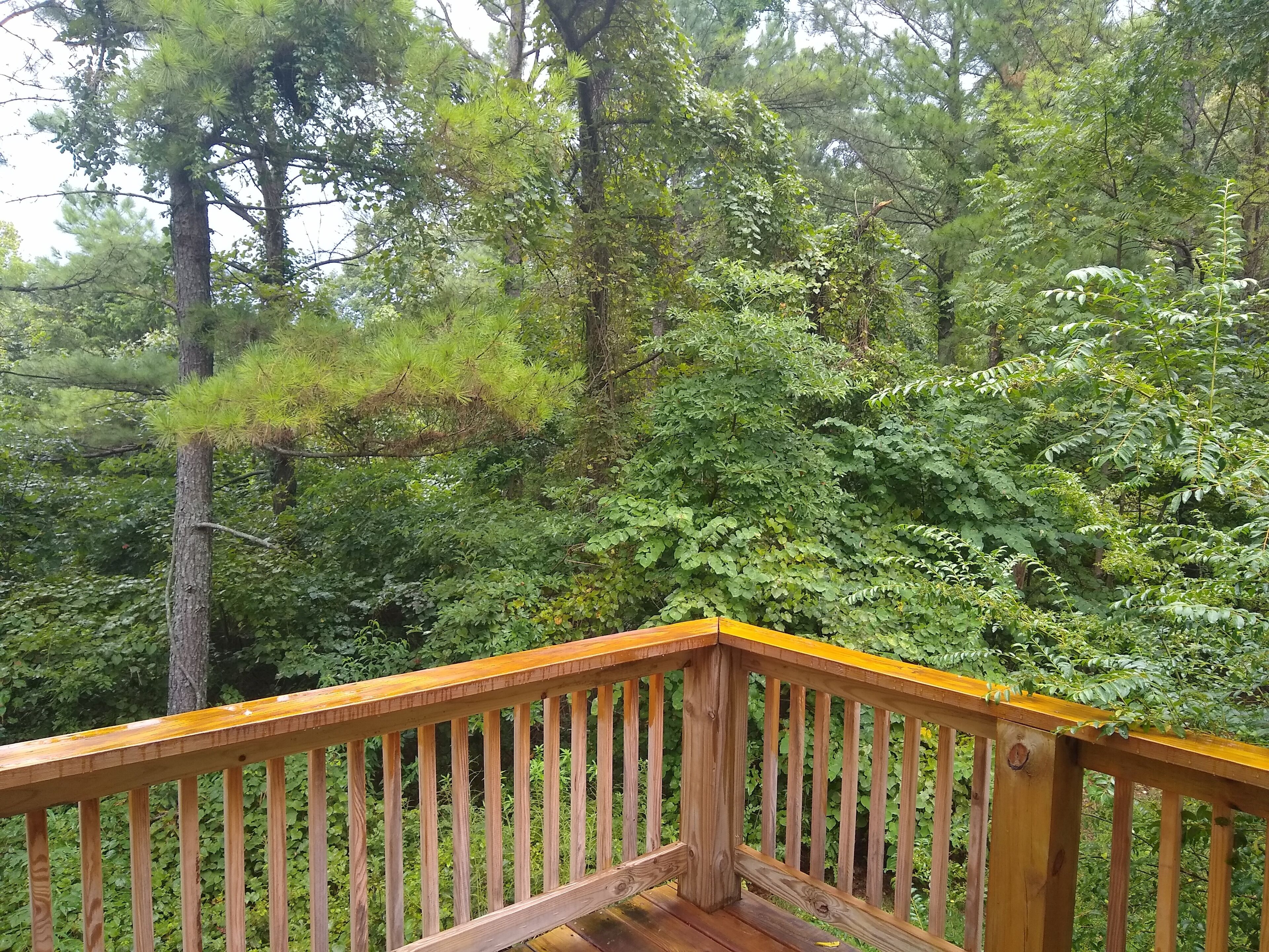pic