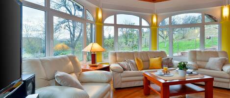 TV, fireplace, DVD player, foosball