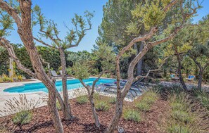 Une piscine entourée d’arbres, avec des espaces de détente en plein air.