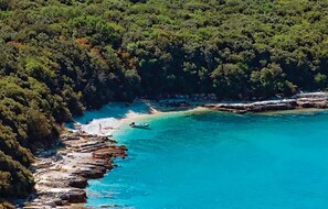Un paysage côtier caractérisé par de hautes falaises rocheuses, des eaux turquoise et limpides, et une végétation luxuriante.