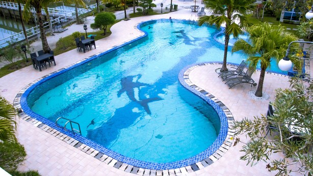 Une grande piscine incurvée, dont le bord est recouvert de carreaux bleus, entourée de palmiers et de chaises longues.