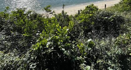 Boat Harbour @ Port Stephens coastal beach apartment - 30metres walk to beach!