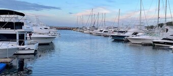 Boat Harbour @ Port Stephens coastal beach apartment - 30metres walk to beach! 