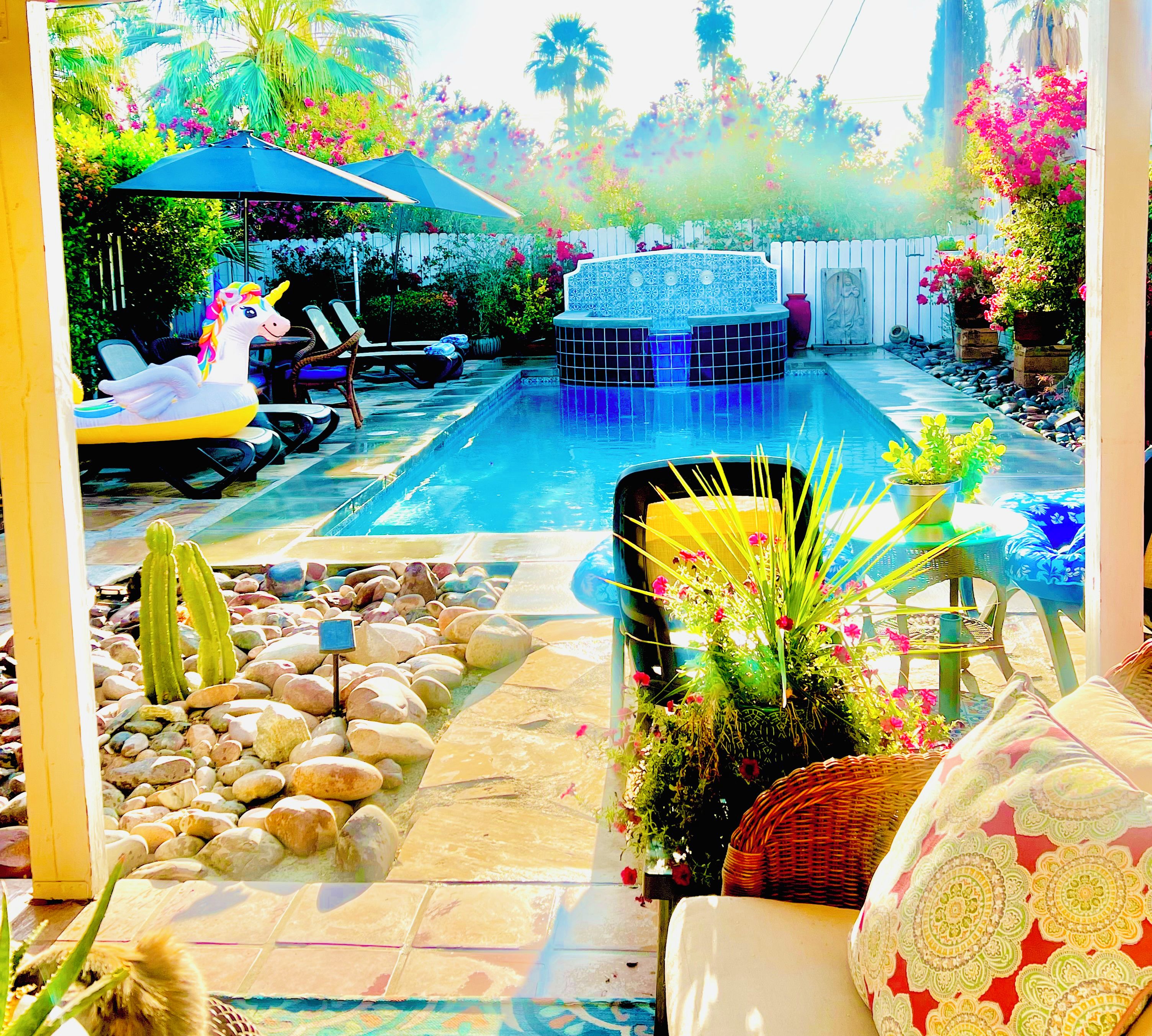 A pool area with lounge chairs, a fountain, and a cactus.