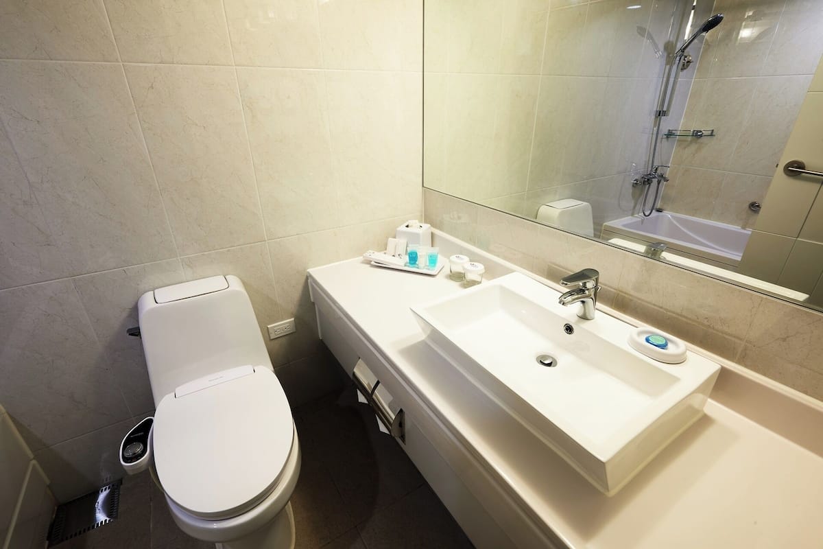 combined shower/bathtub, hair dryer, bathrobes, slippers