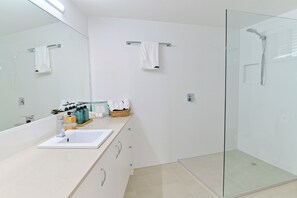 Combined shower/bathtub, hair dryer, towels, soap