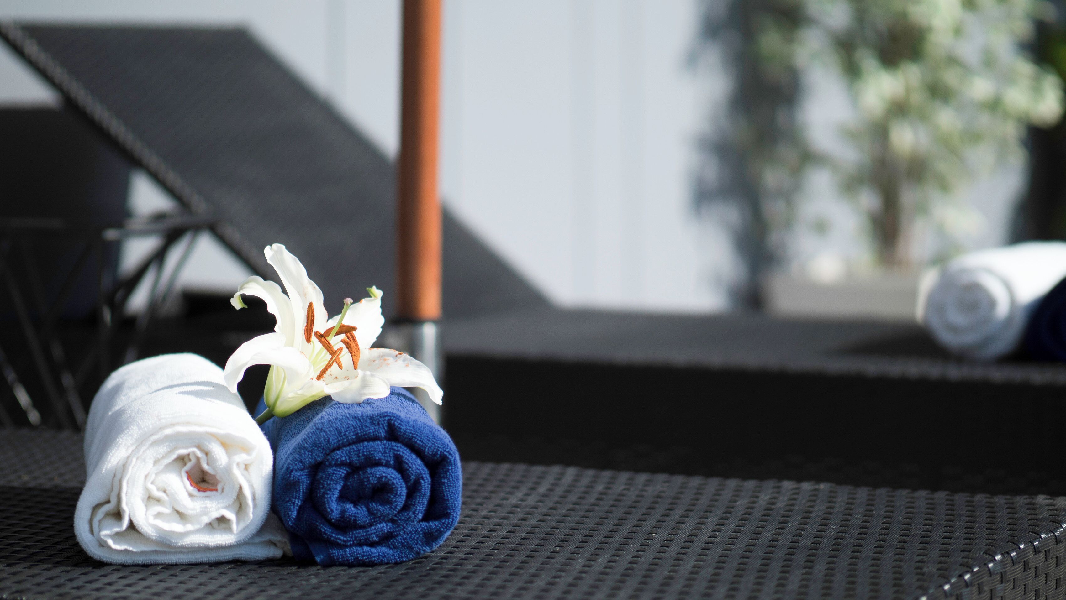 Una toalla y una toalla enrollada sobre una superficie con textura, con una flor blanca al frente.