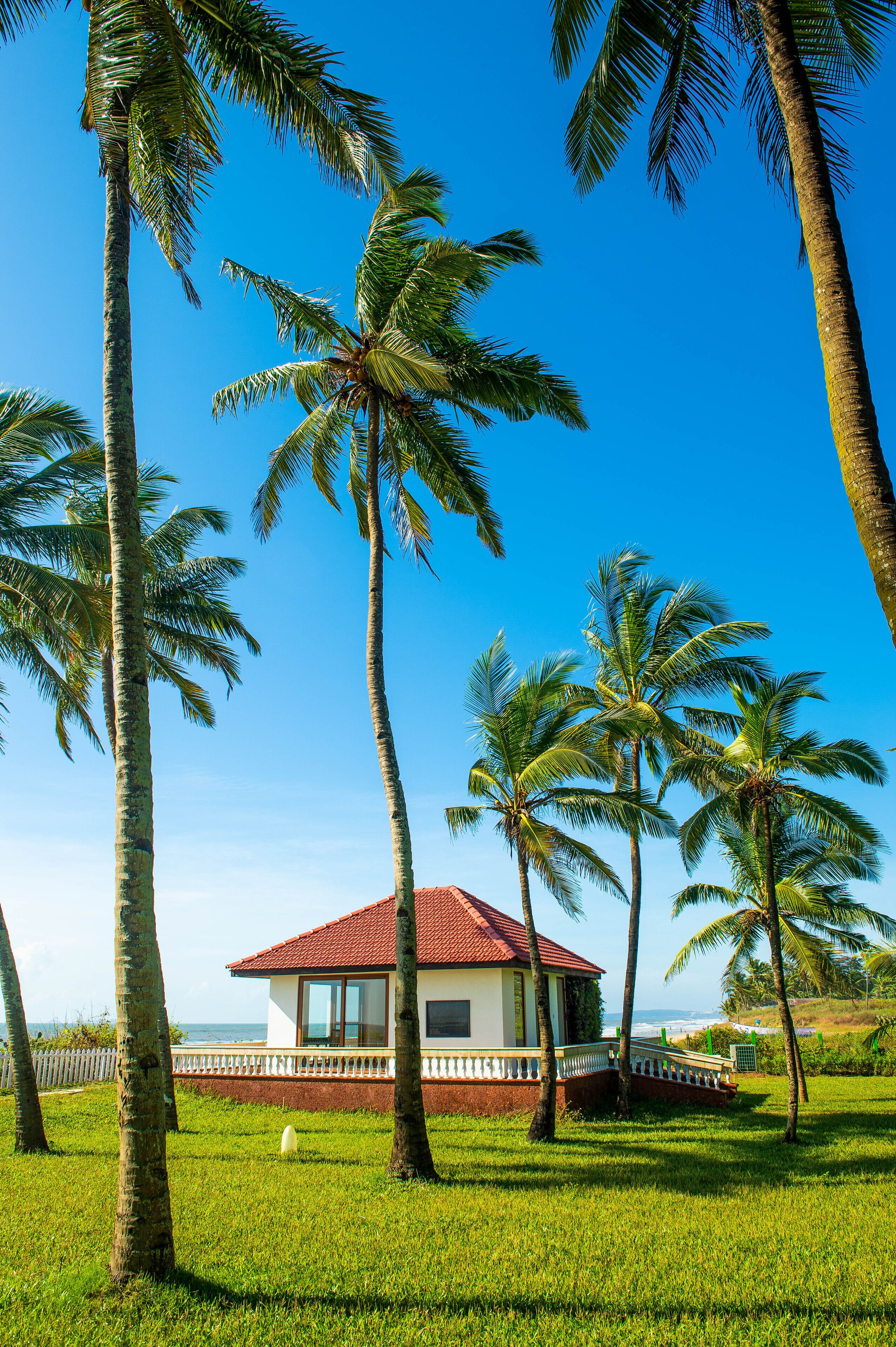 Standard Room | Beach/ocean view