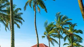 Standard Room | Beach/ocean view