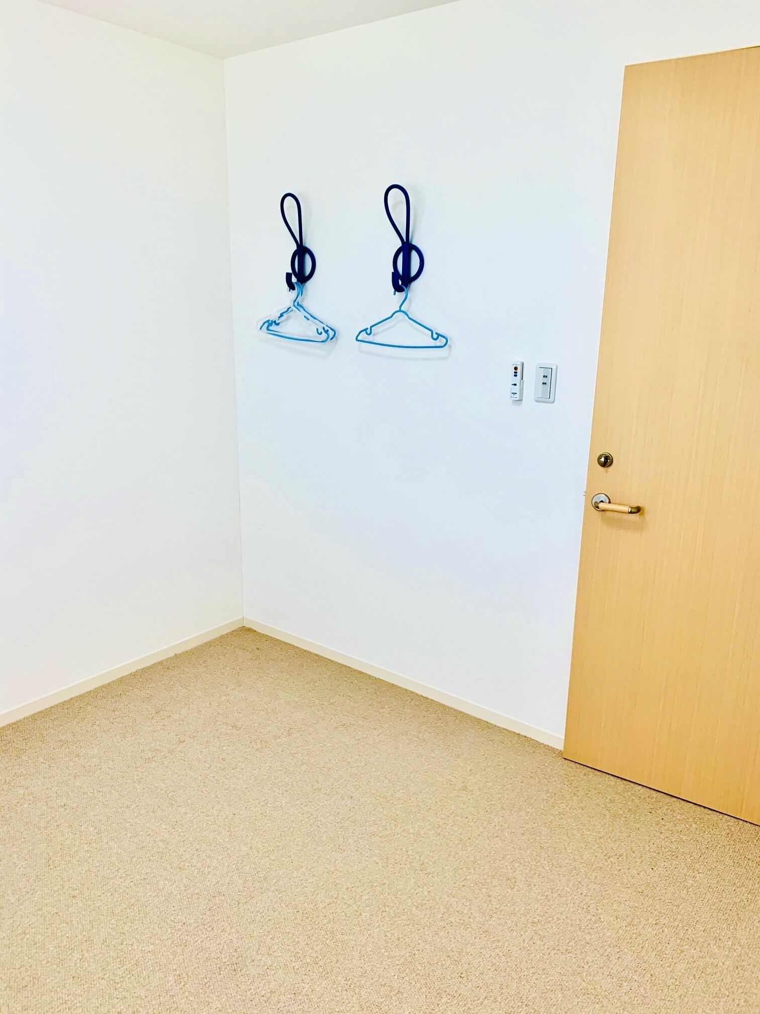 Une pièce avec un tapis beige, une porte en bois et deux patères fixées au mur.