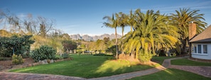 Garden - La Felicita Boutique Villas and Apartments (Cape Town)