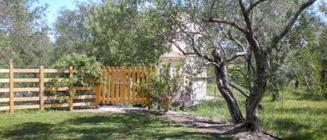 Jardines del alojamiento