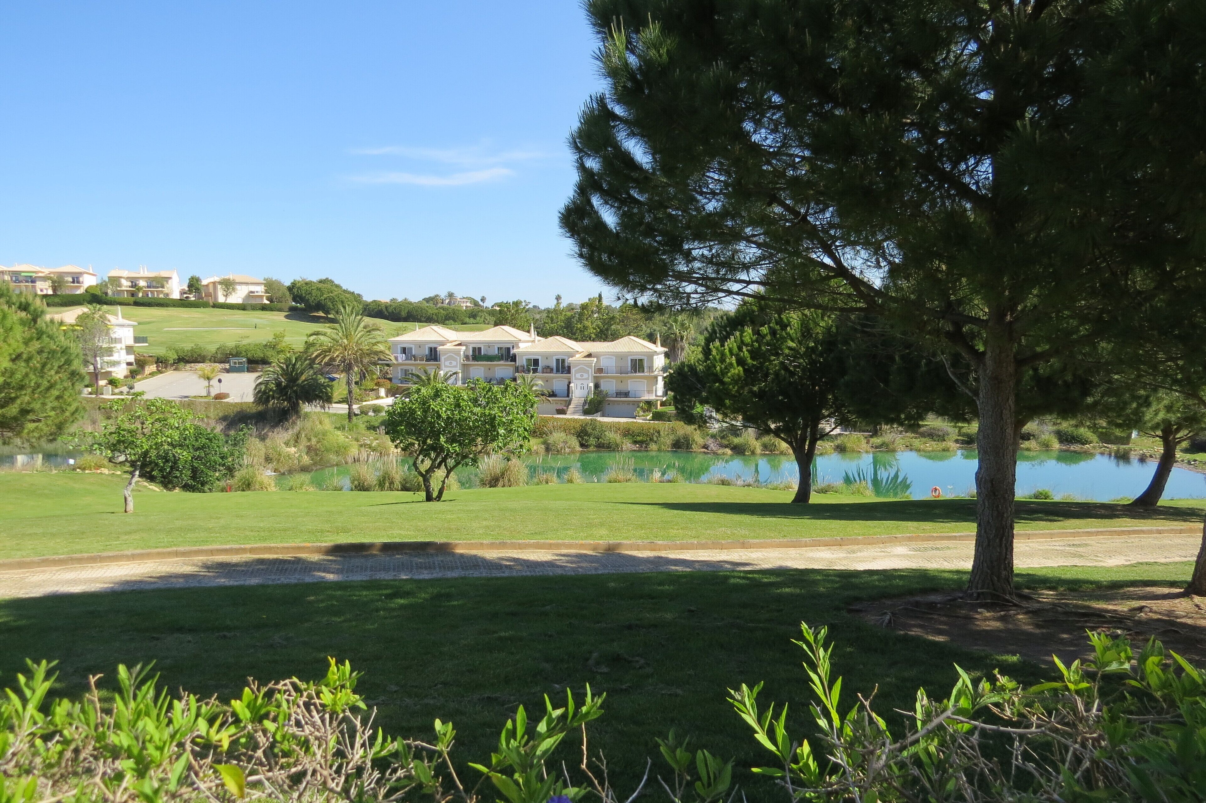 A residential area with a large tree, a pond, and a row of buildings in the background.