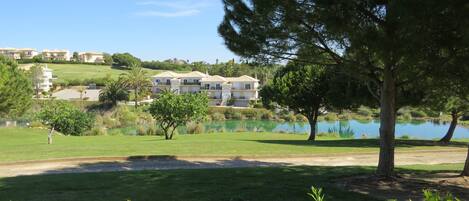 A residential area with a large tree, a pond, and a row of buildings in the background.