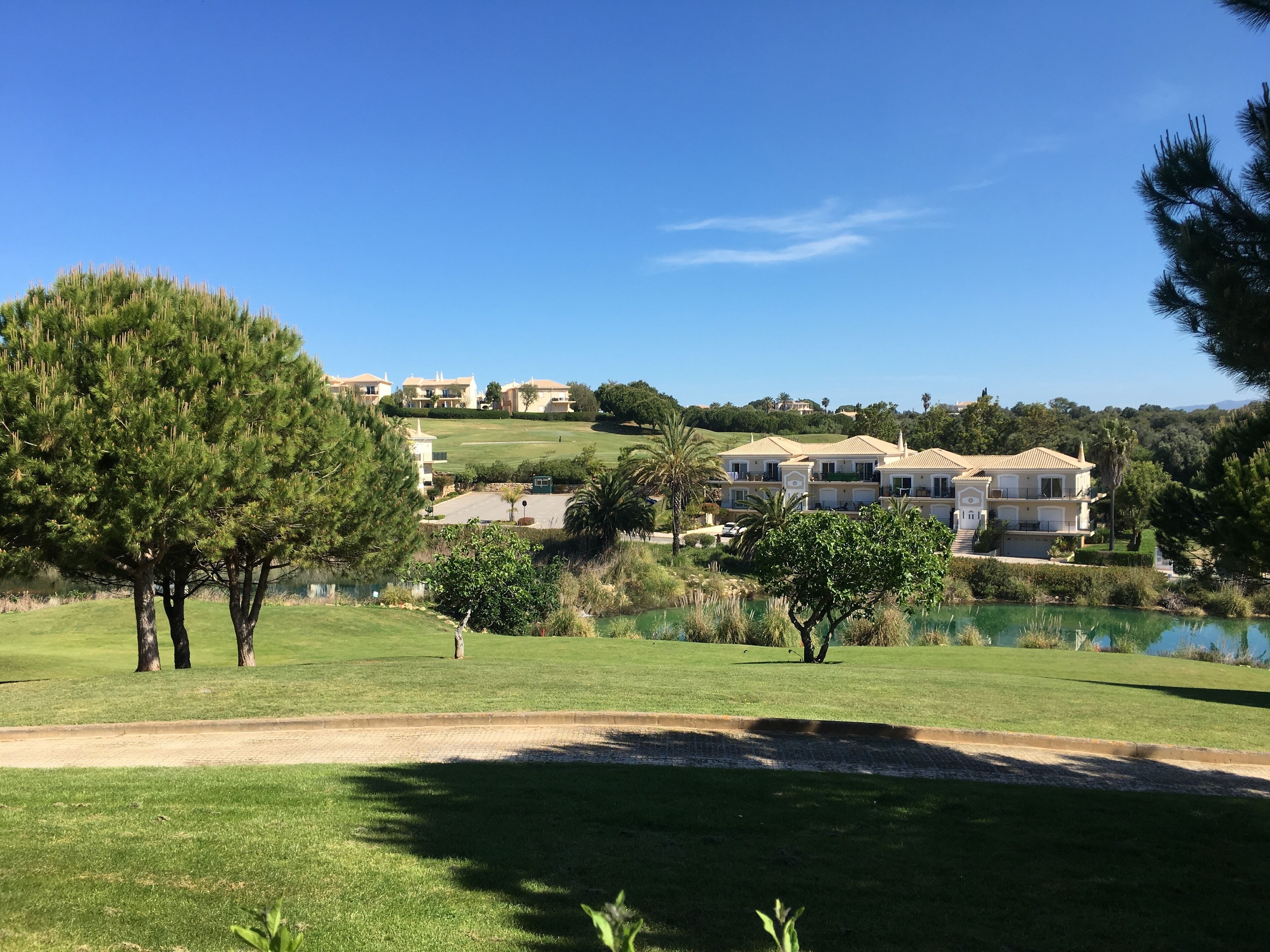 A golf course with a pond, surrounded by trees and buildings in the background.