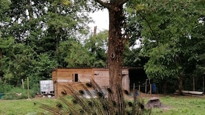 A peacock with its tail feathers fully fanned out in a grassy area with trees and a wooden structure in the background. - Chambres d'Hotes la Source (Mareuil-Sur-Lay-Dissais)