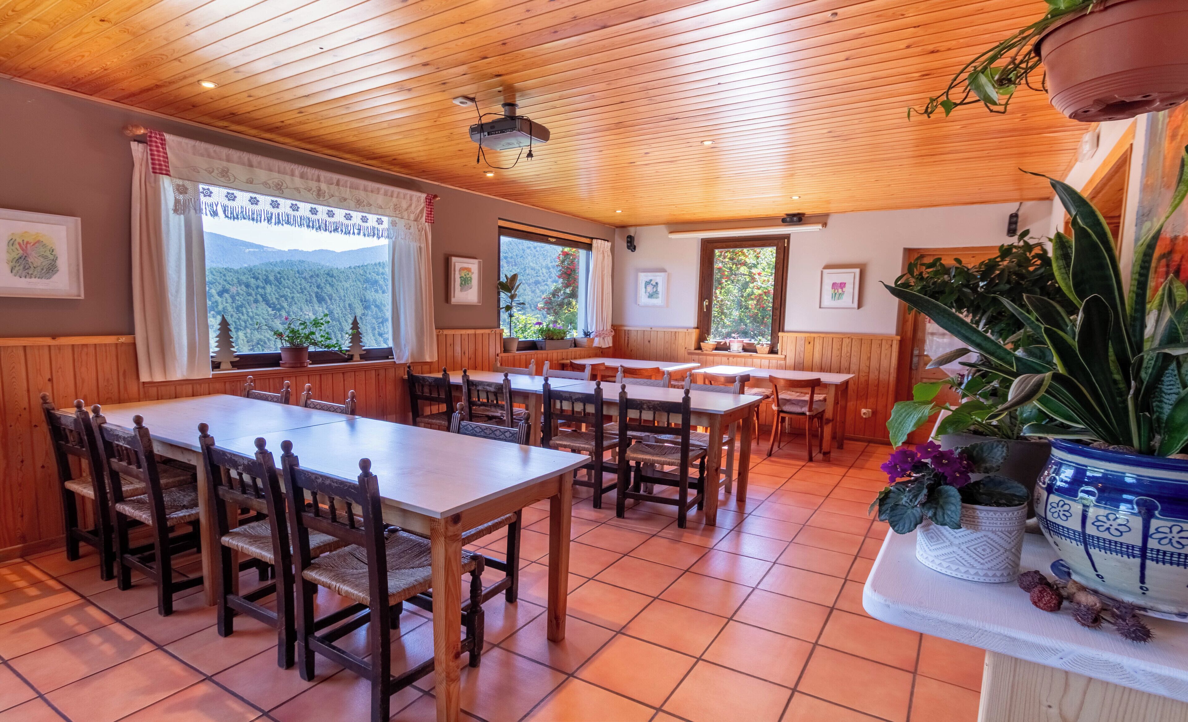 Un ristorante con tavoli e sedie in legno, ampie finestre con vista sulle montagne e piante in vaso.