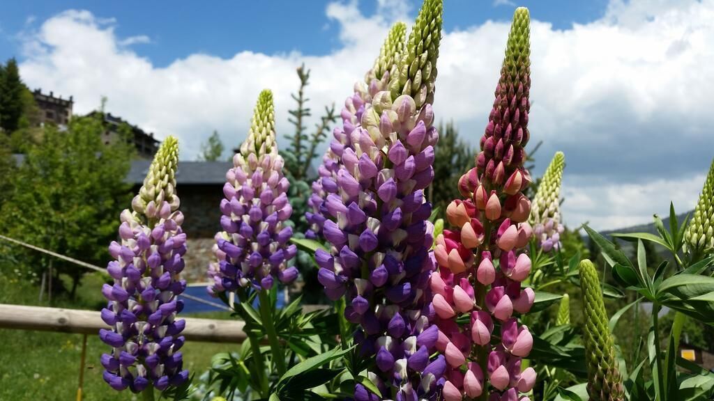 Foto - Xalet Refugi Pere Carné