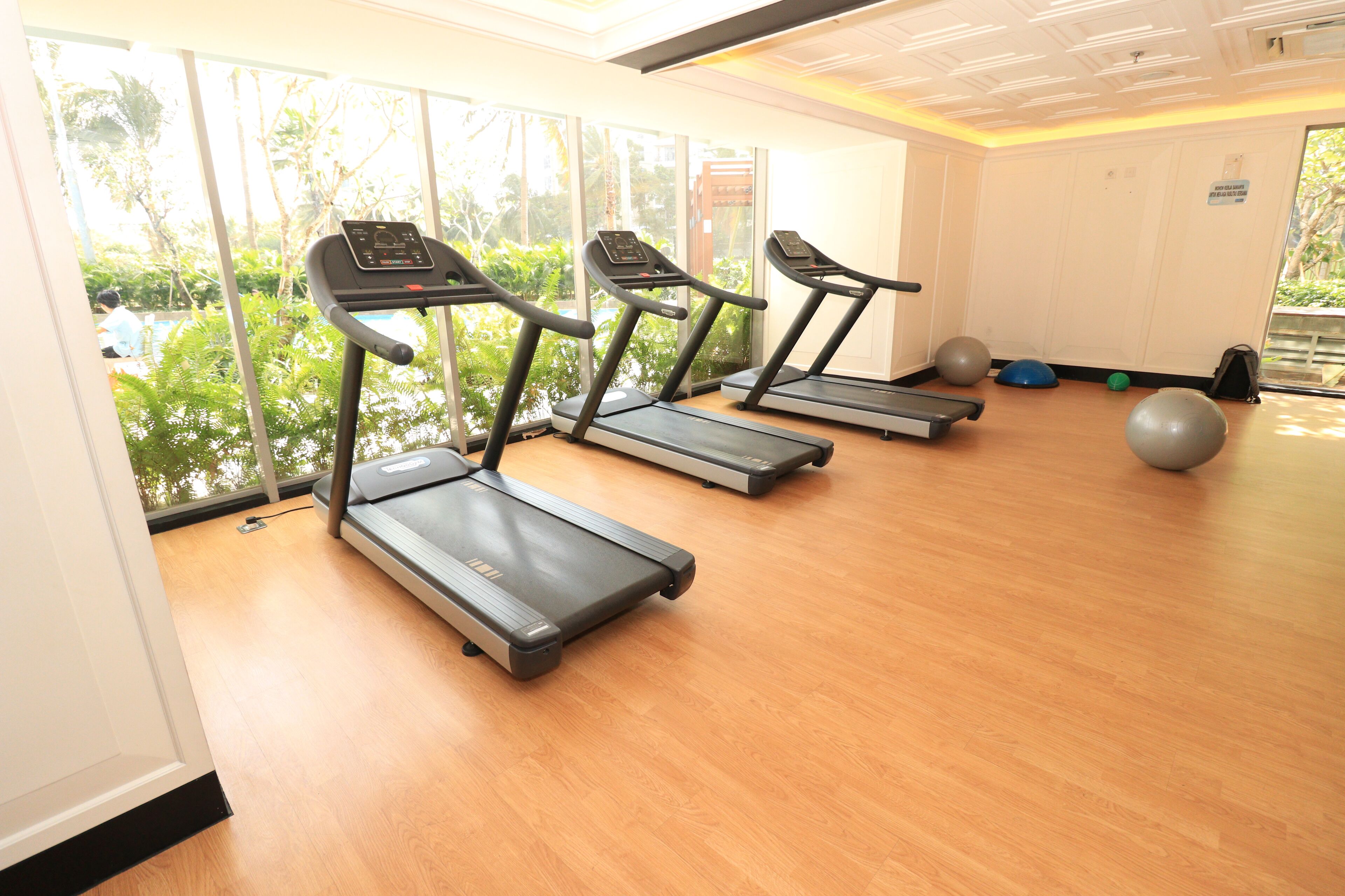 A gym with treadmills and exercise balls, large windows with a view of greenery.