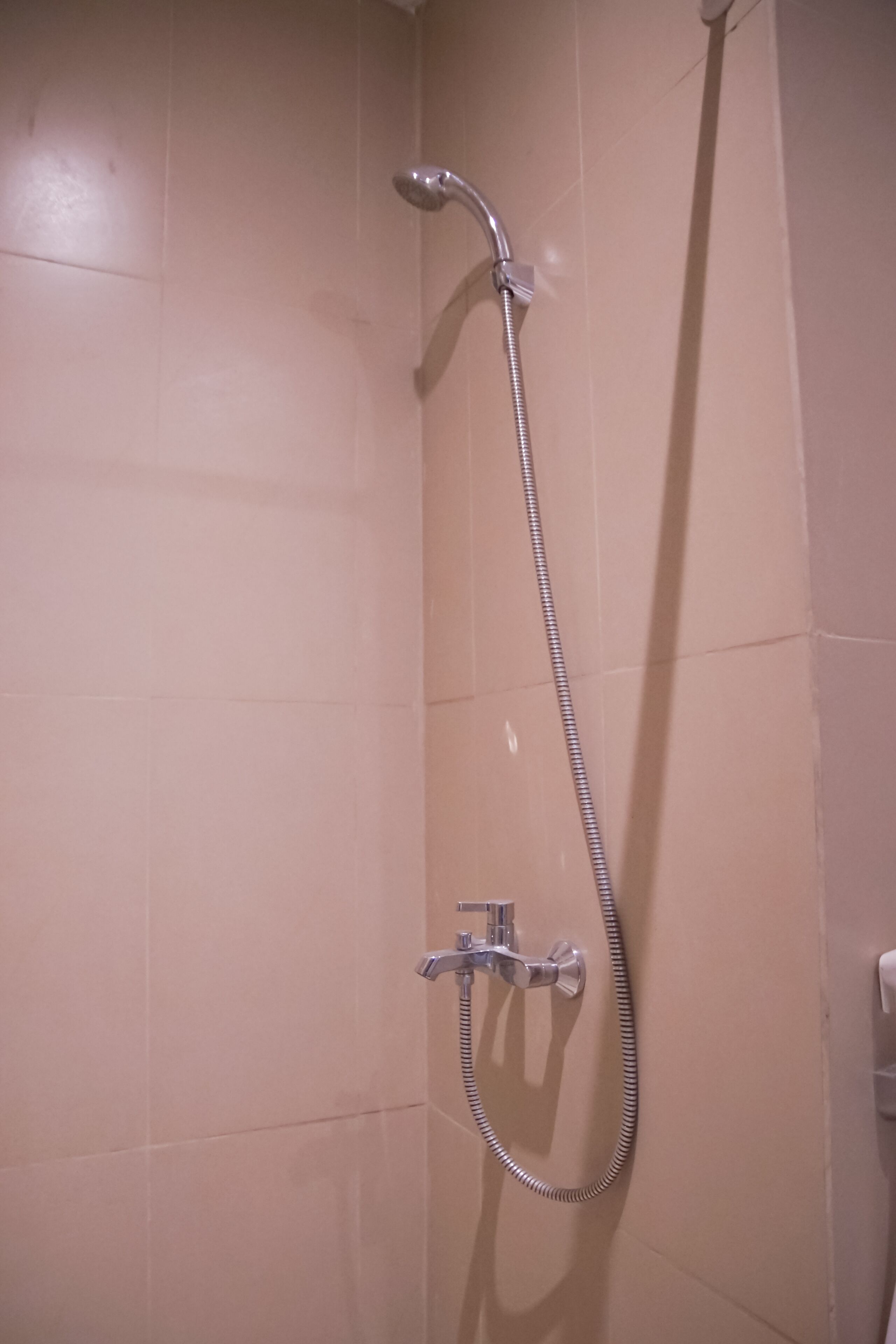 Eine Dusche mit Handbrause und fest installierter Armatur.