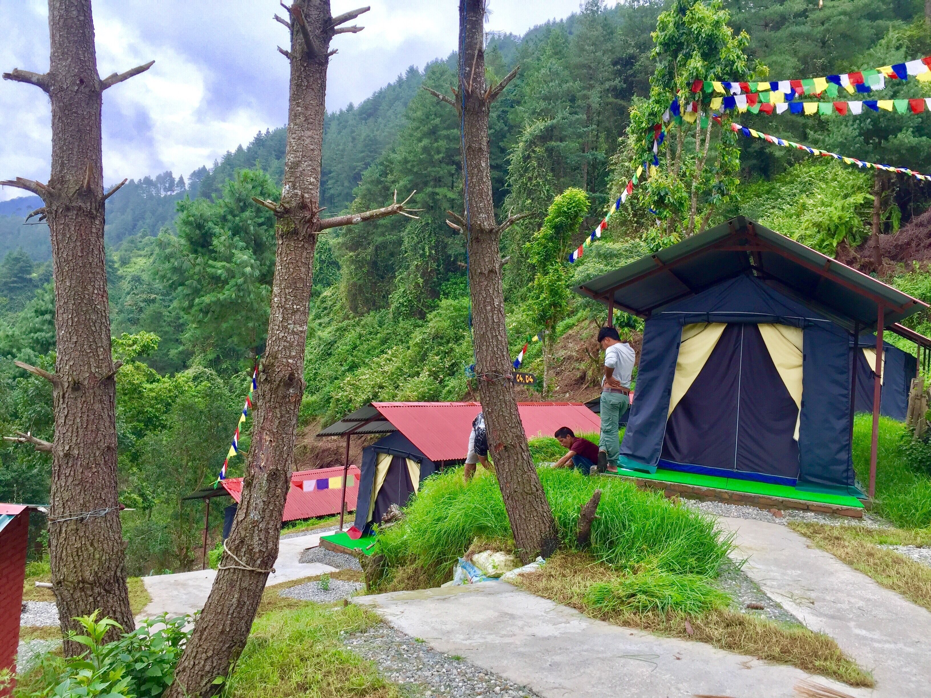 舒适帐篷房 | 阳台