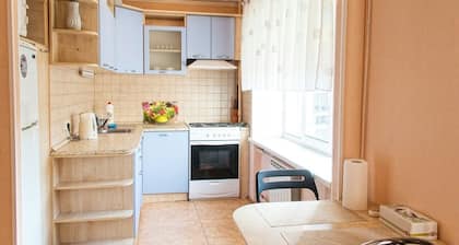 Apart Kiev Klovskiy spusk 12
