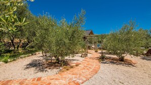 Un sendero conduce a una construcción rústica rodeada de olivos.