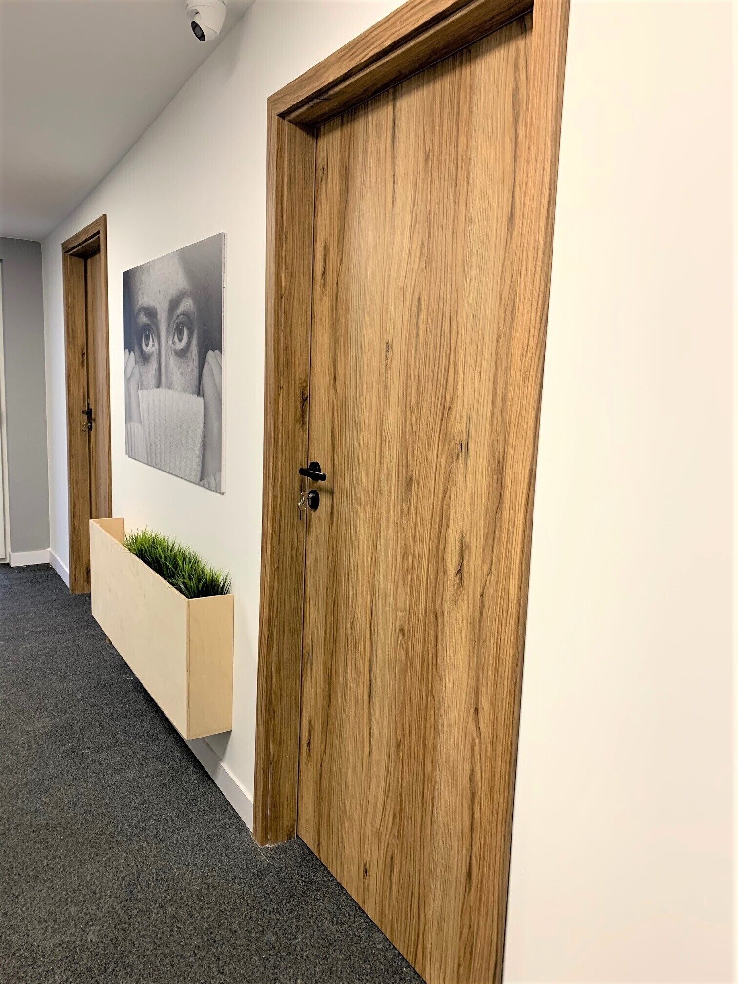 A hallway with wooden doors, a grey carpet, and a wall-mounted planter with green plants.
