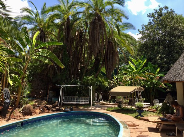 Outdoor pool - It's a Small World Backpackers Lodge - Hostel (Harare)