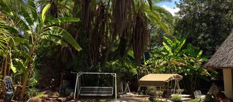 It's a Small World Backpackers Lodge - Hostel