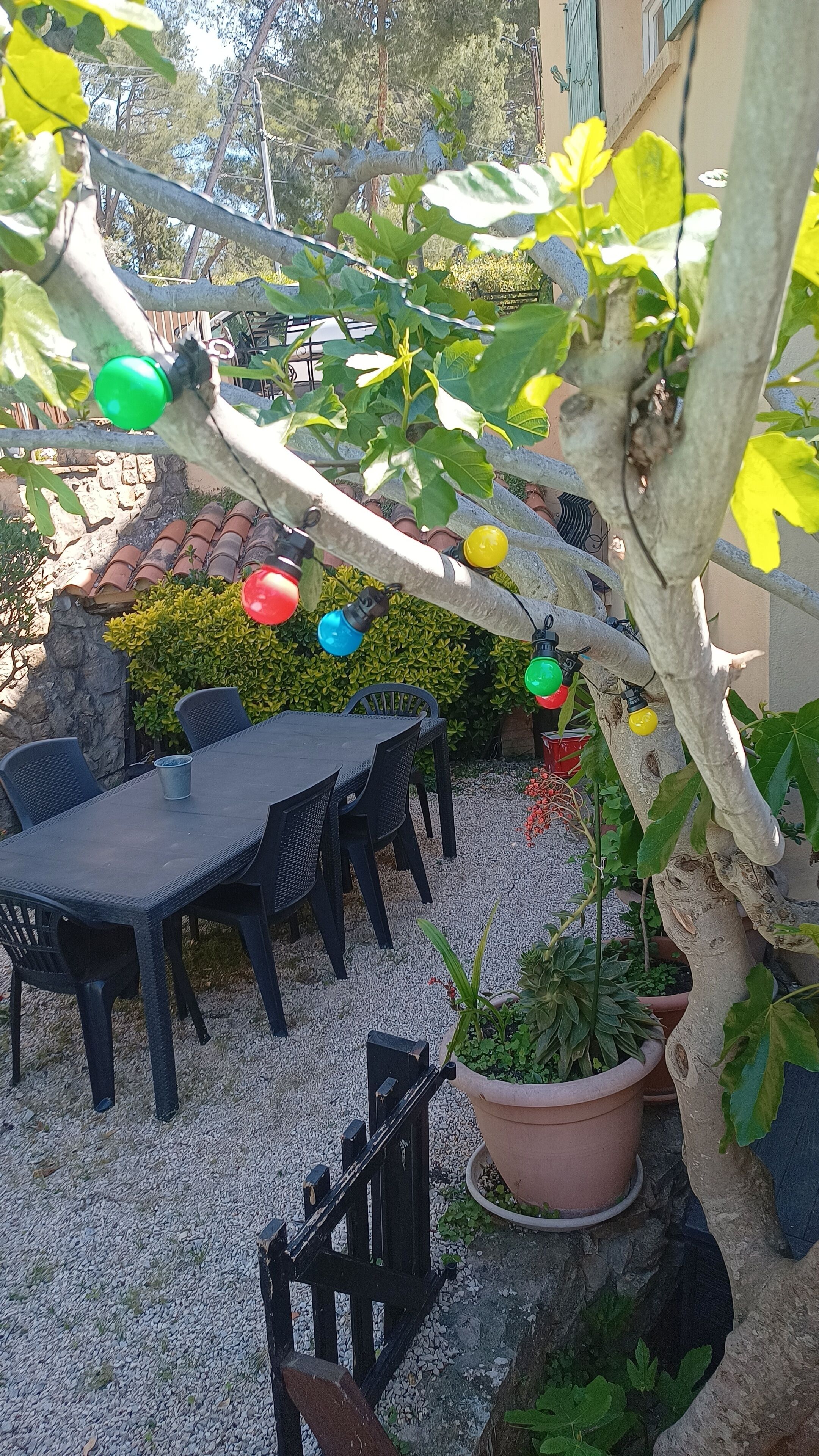 An outdoor seating area with a table and chairs, surrounded by potted plants and a tree.