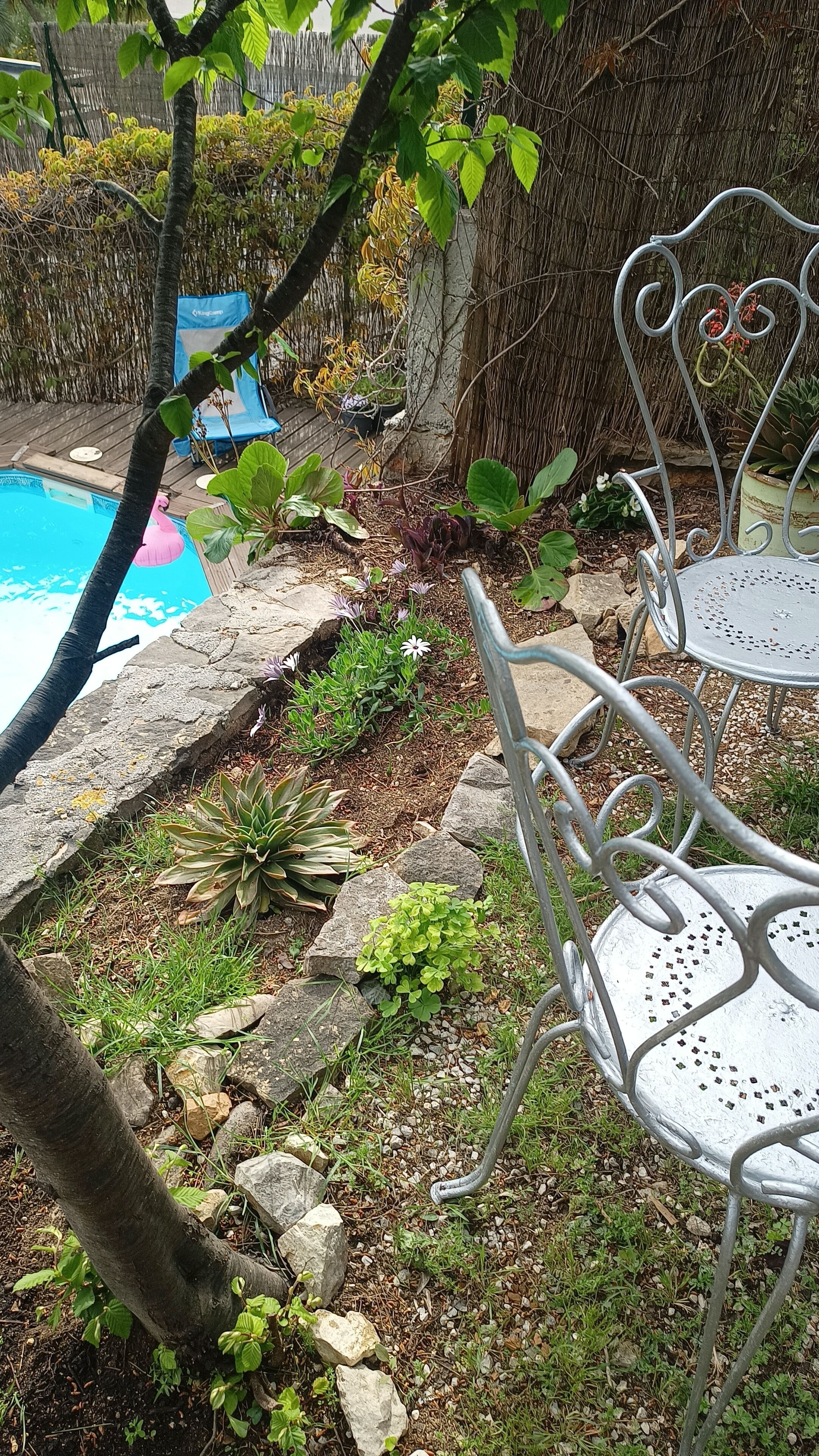 A garden area with a pool, stone pathway, and metal chairs.