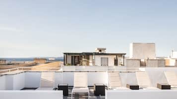 Terras